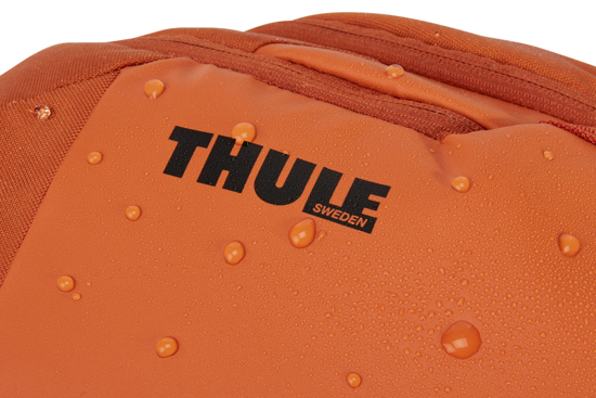 Picture of THULE nahbrtnik chasm laptop Autumnal 26L