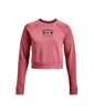 Picture of UNDER ARMOUR ž pulover PROJECT ROCK HOME GYM
