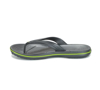 CROCS crocband flip 11033 pardise graphite/volt