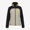 ICEPEAK m softshell 6 57907554I 245 BYHALIA brown black