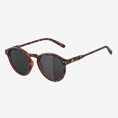 ALPINA sončna očala A8768 491 SNEEK havana matt