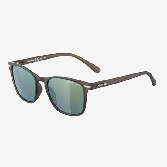 ALPINA sončna očala A8647 321 YEFE grey transparent matt