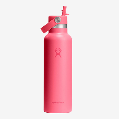 HYDRO FLASK 21 oz STANDARD MOUTH WITH FLEX STRAW CAP S21CFS668 621ml popstar pink
