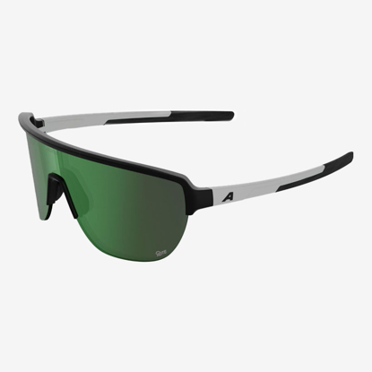 ALPINA športna očala A8772 012 RAM 2.0 Q-LITE black white matt mirror green