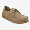 BIRKENSTOCK čevlji 1034384 UTTI LACE - regular -gray taupe